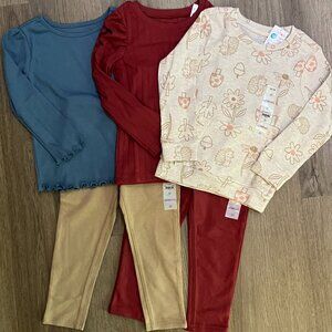3T Garanimals Girls Long-Sleeve Tops & Ballerina Jeggings Bundle